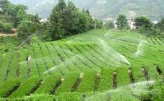 你知道怎么有效的節(jié)水灌溉嗎？