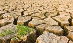 目測土壤墑情？